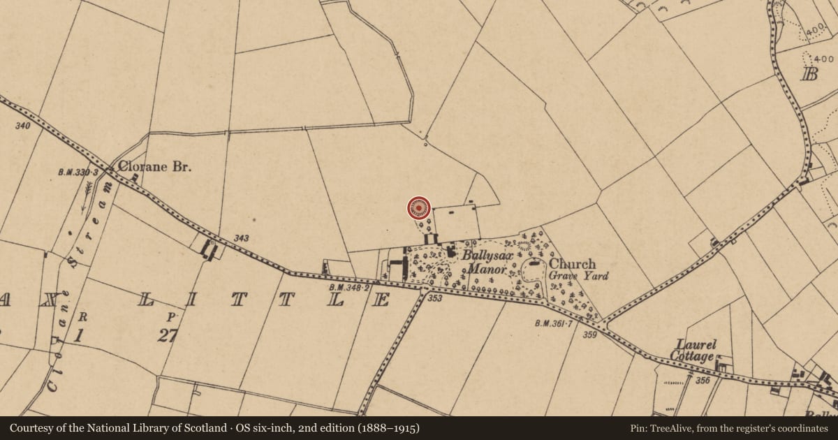 Ordnance Survey six-inch map, 2nd edition (1888–1915) covering the location of Mound, Ballysax Great, County Kildare, with a pin at the register's coordinates