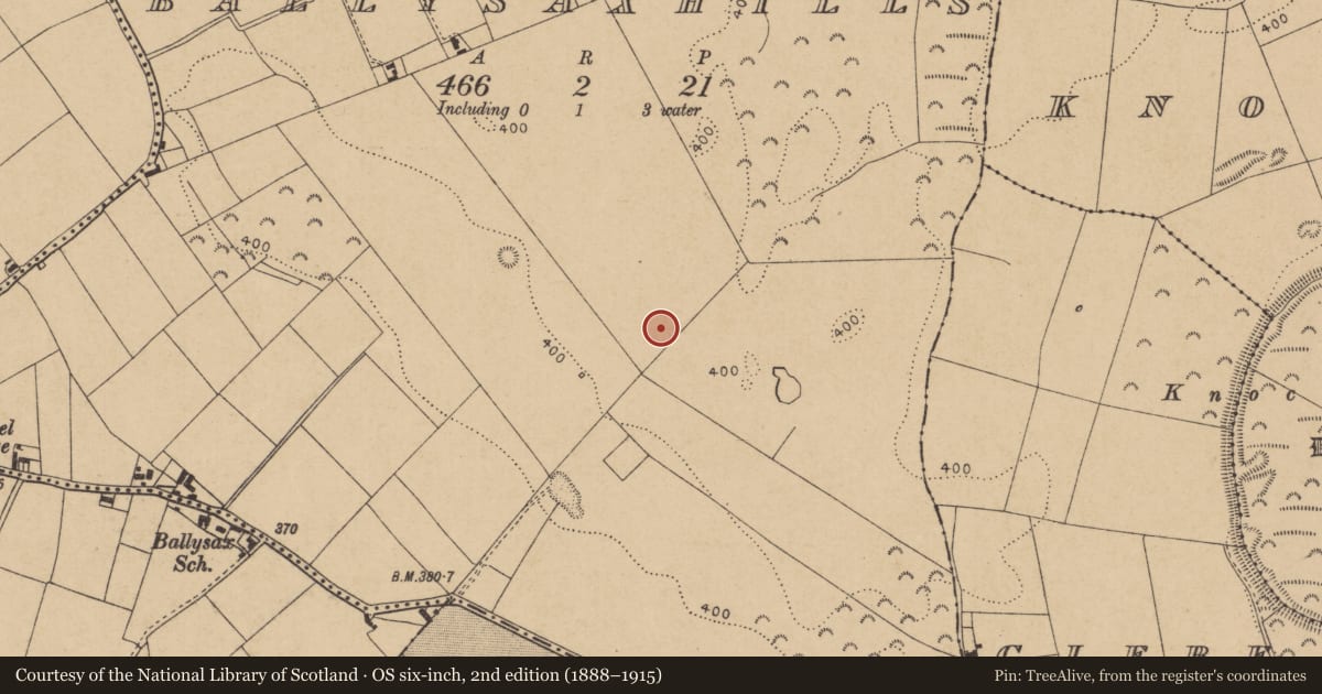 Ordnance Survey six-inch map, 2nd edition (1888–1915) covering the location of Barrow - ring-barrow, Ballysaxhills, County Kildare, with a pin at the register's coordinates