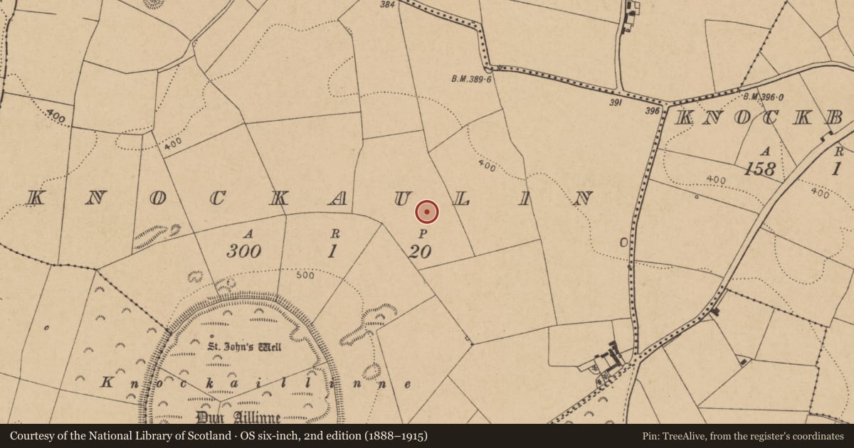 Ordnance Survey six-inch map, 2nd edition (1888–1915) covering the location of Enclosure, Knockaulin, County Kildare, with a pin at the register's coordinates