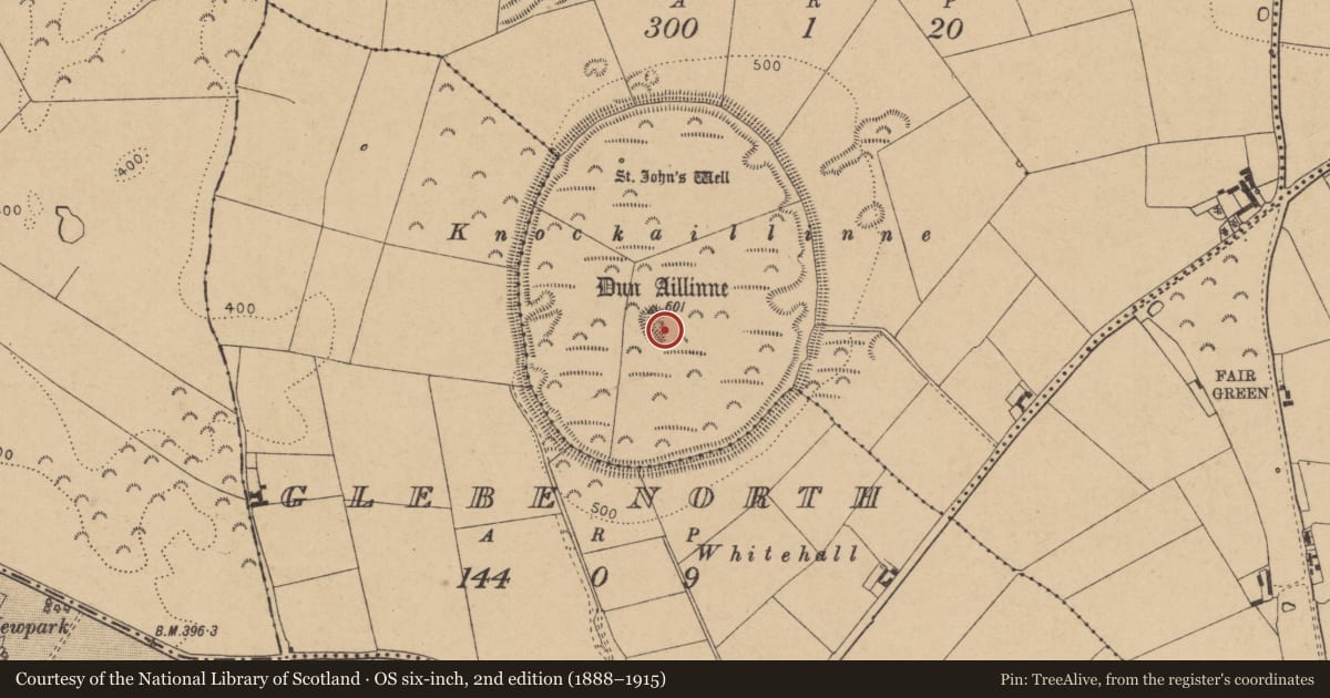 Ordnance Survey six-inch map, 2nd edition (1888–1915) covering the location of Pit-burial, Knockaulin, County Kildare, with a pin at the register's coordinates