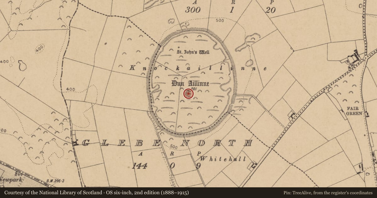 Ordnance Survey six-inch map, 2nd edition (1888–1915) covering the location of Enclosure, Knockaulin, County Kildare, with a pin at the register's coordinates