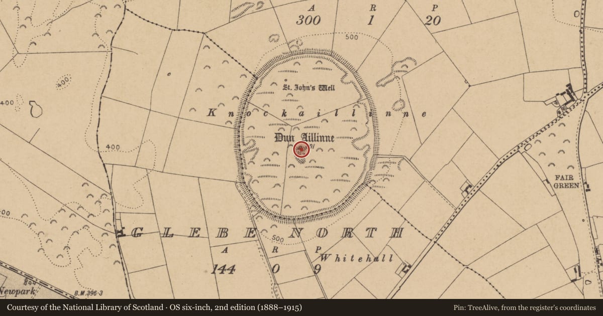 Ordnance Survey six-inch map, 2nd edition (1888–1915) covering the location of Enclosure, Knockaulin, County Kildare, with a pin at the register's coordinates