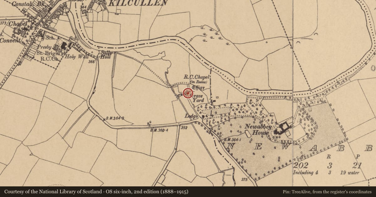 Ordnance Survey six-inch map, 2nd edition (1888–1915) covering the location of Religious house - Franciscan friars, Nicholastown, County Kildare, with a pin at the register's coordinates