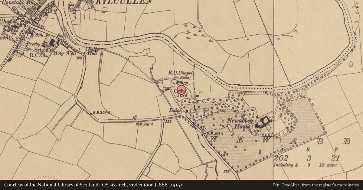 Ordnance Survey six-inch map, 2nd edition (1888–1915) covering the location of Graveyard, Nicholastown, County Kildare, with a pin at the register's coordinates