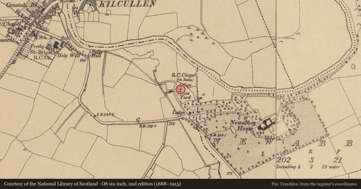 Ordnance Survey six-inch map, 2nd edition (1888–1915) covering the location of Tomb - effigial, Nicholastown, County Kildare, with a pin at the register's coordinates