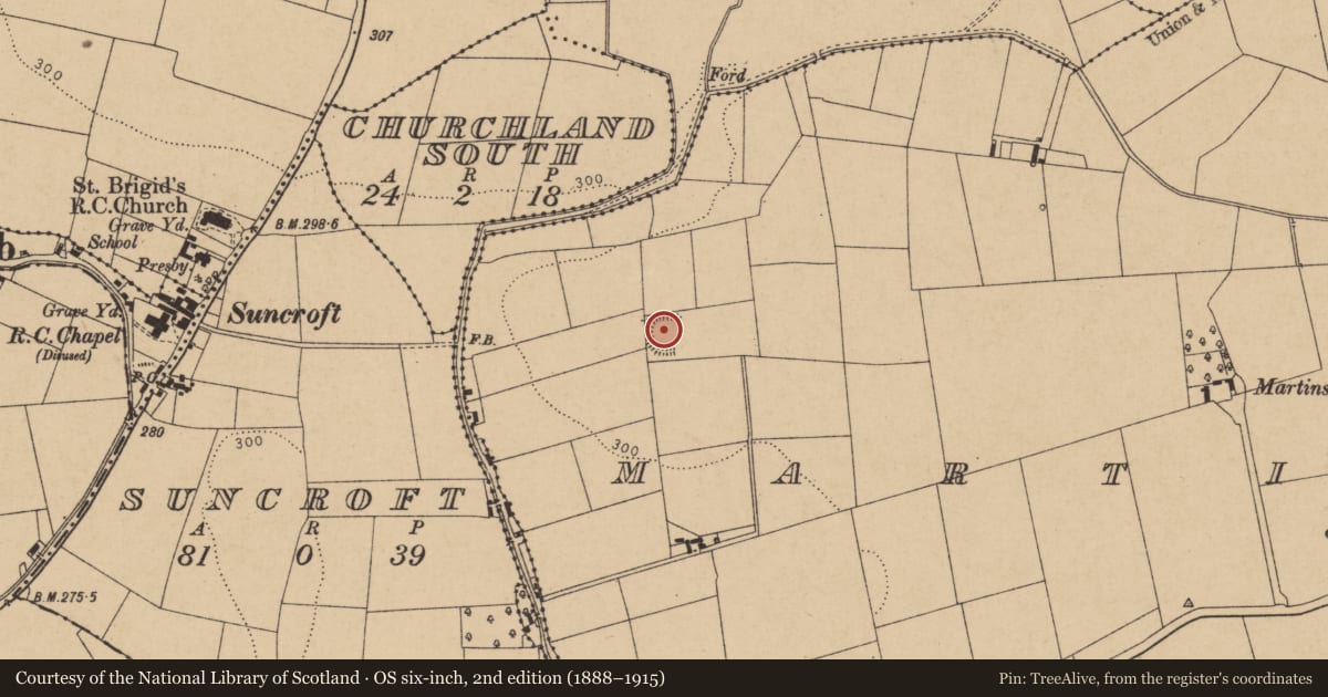 Ordnance Survey six-inch map, 2nd edition (1888–1915) covering the location of Ringfort - rath, Martinstown, County Kildare, with a pin at the register's coordinates