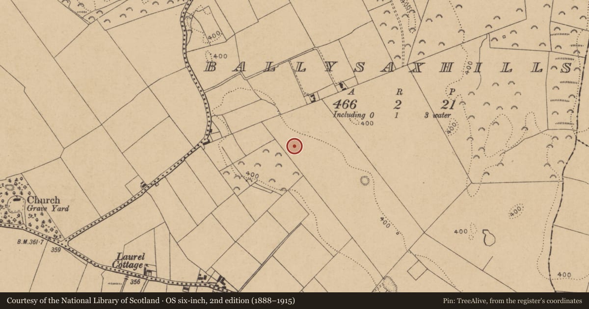 Ordnance Survey six-inch map, 2nd edition (1888–1915) covering the location of Enclosure, Ballysaxhills, County Kildare, with a pin at the register's coordinates