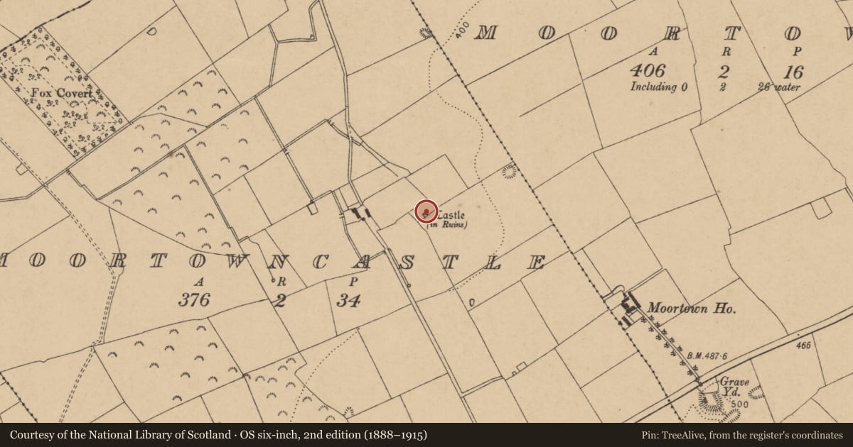 Ordnance Survey six-inch map, 2nd edition (1888–1915) covering the location of Castle - tower house, Moortowncastle, County Kildare, with a pin at the register's coordinates