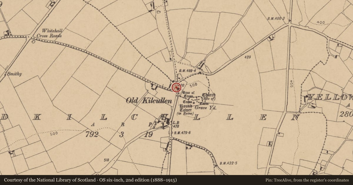 Ordnance Survey six-inch map, 2nd edition (1888–1915) covering the location of Ecclesiastical site, Oldkilcullen, County Kildare, with a pin at the register's coordinates