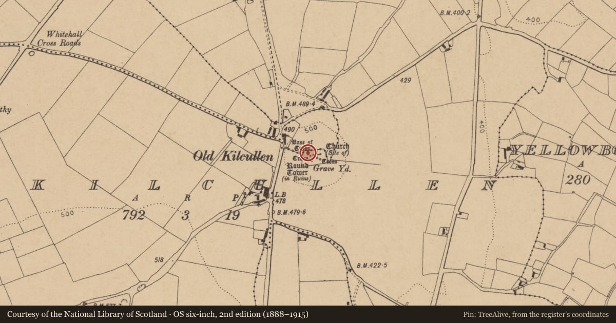 Ordnance Survey six-inch map, 2nd edition (1888–1915) covering the location of Cross - High cross, Oldkilcullen, County Kildare, with a pin at the register's coordinates