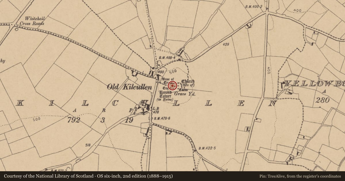 Ordnance Survey six-inch map, 2nd edition (1888–1915) covering the location of Cross - High cross, Oldkilcullen, County Kildare, with a pin at the register's coordinates