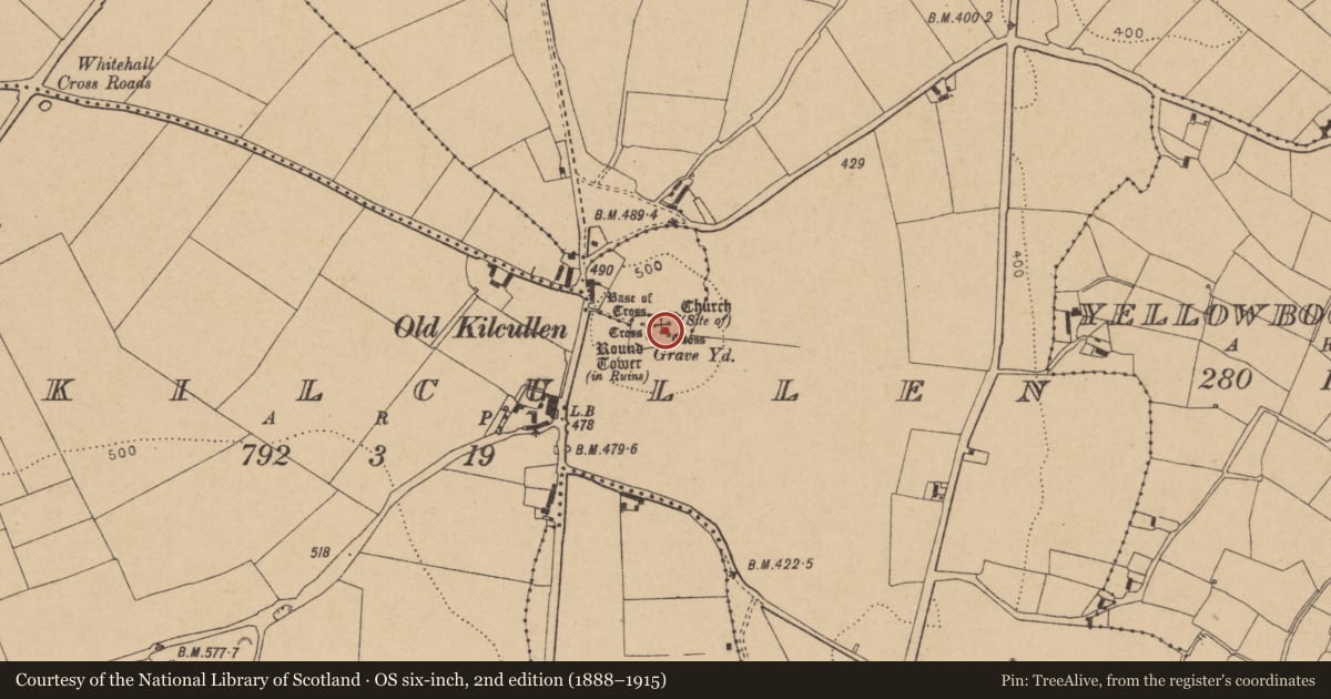 Ordnance Survey six-inch map, 2nd edition (1888–1915) covering the location of Cross - High cross, Oldkilcullen, County Kildare, with a pin at the register's coordinates