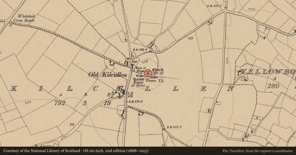 Ordnance Survey six-inch map, 2nd edition (1888–1915) covering the location of Church, Oldkilcullen, County Kildare, with a pin at the register's coordinates
