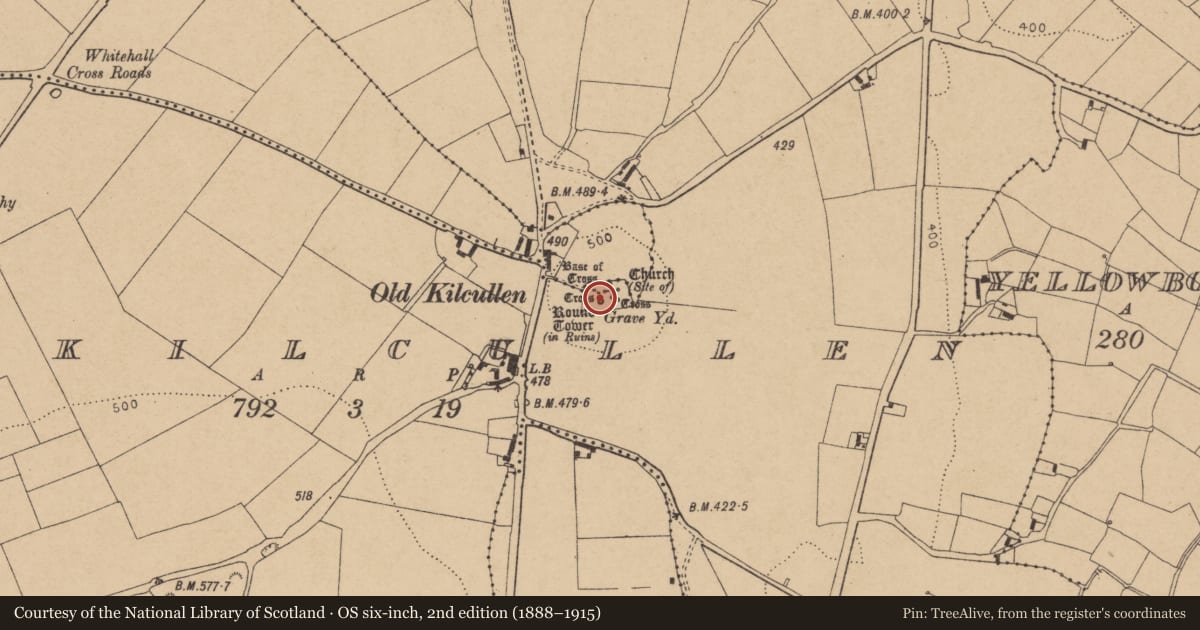 Ordnance Survey six-inch map, 2nd edition (1888–1915) covering the location of Round tower, Oldkilcullen, County Kildare, with a pin at the register's coordinates