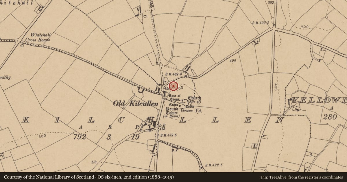 Ordnance Survey six-inch map, 2nd edition (1888–1915) covering the location of Town defences, Oldkilcullen, County Kildare, with a pin at the register's coordinates