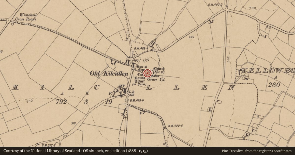 Ordnance Survey six-inch map, 2nd edition (1888–1915) covering the location of Graveyard, Oldkilcullen, County Kildare, with a pin at the register's coordinates