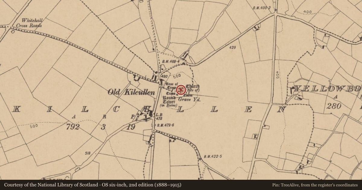 Ordnance Survey six-inch map, 2nd edition (1888–1915) covering the location of Graveslab, Oldkilcullen, County Kildare, with a pin at the register's coordinates