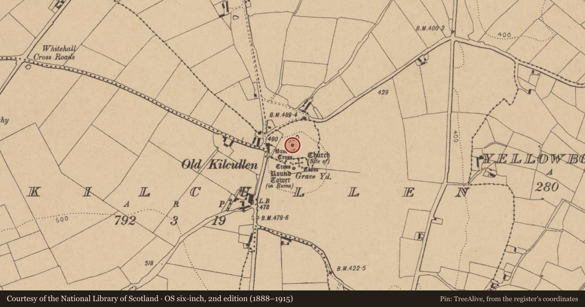 Ordnance Survey six-inch map, 2nd edition (1888–1915) covering the location of Battlefield, Glebe North, Oldkilcullen, County Kildare, with a pin at the register's coordinates