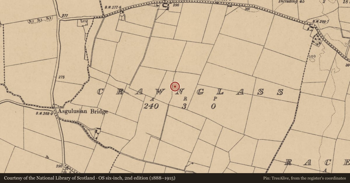 Ordnance Survey six-inch map, 2nd edition (1888–1915) covering the location of Ringfort - rath, Crawnglass, County Kildare, with a pin at the register's coordinates