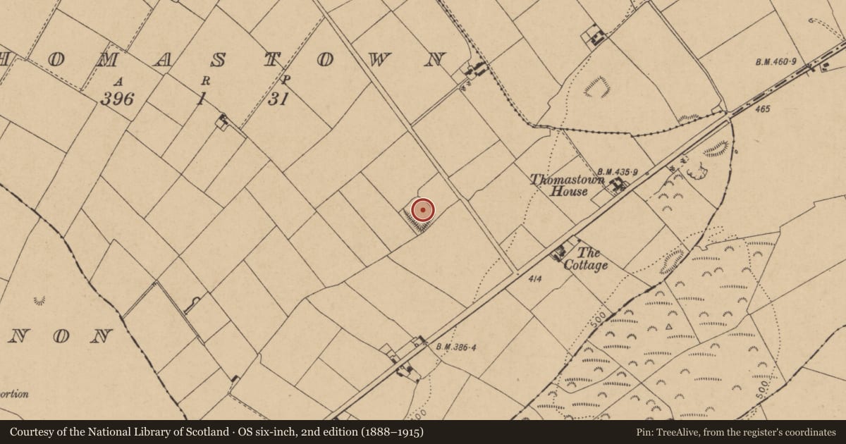 Ordnance Survey six-inch map, 2nd edition (1888–1915) covering the location of Moated site, Thomastown, County Kildare, with a pin at the register's coordinates