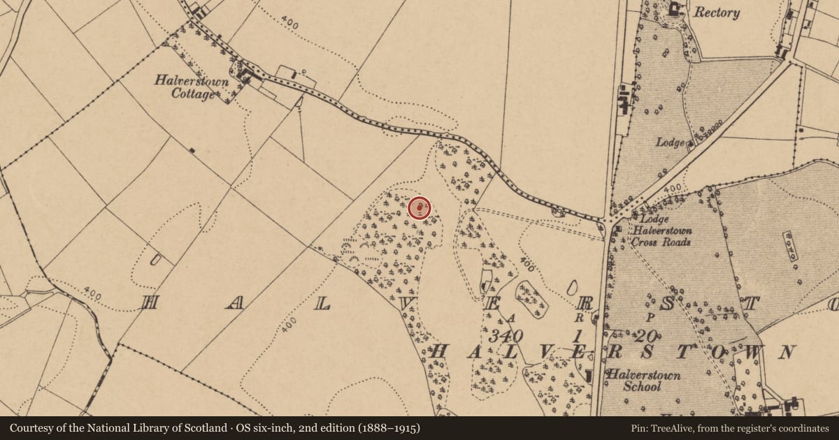 Ordnance Survey six-inch map, 2nd edition (1888–1915) covering the location of Burial, Halverstown, County Kildare, with a pin at the register's coordinates