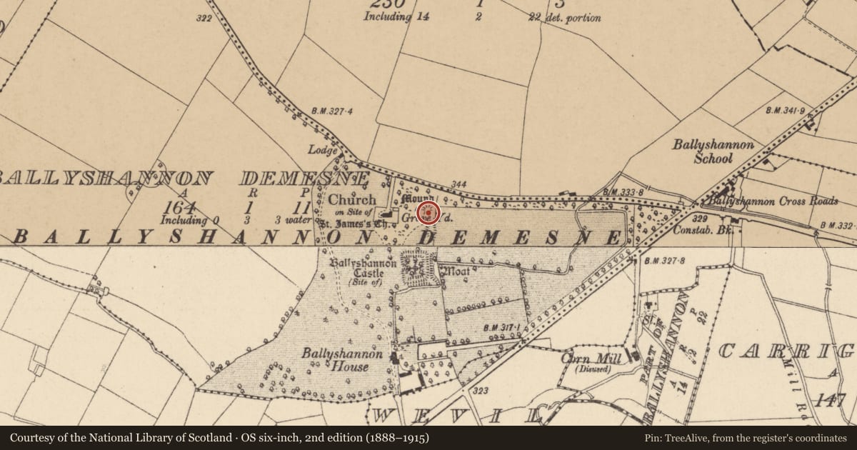 Ordnance Survey six-inch map, 2nd edition (1888–1915) covering the location of Castle - motte, Ballyshannon Demesne, County Kildare, with a pin at the register's coordinates