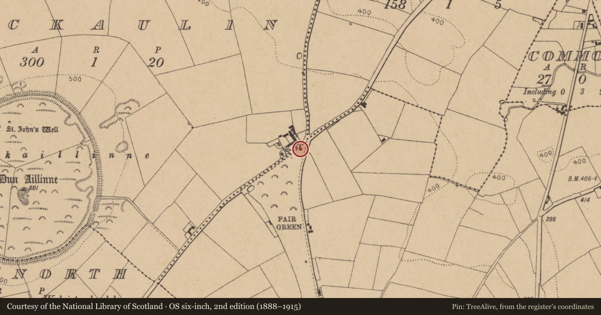 Ordnance Survey six-inch map, 2nd edition (1888–1915) covering the location of Enclosure, Oldkilcullen, County Kildare, with a pin at the register's coordinates