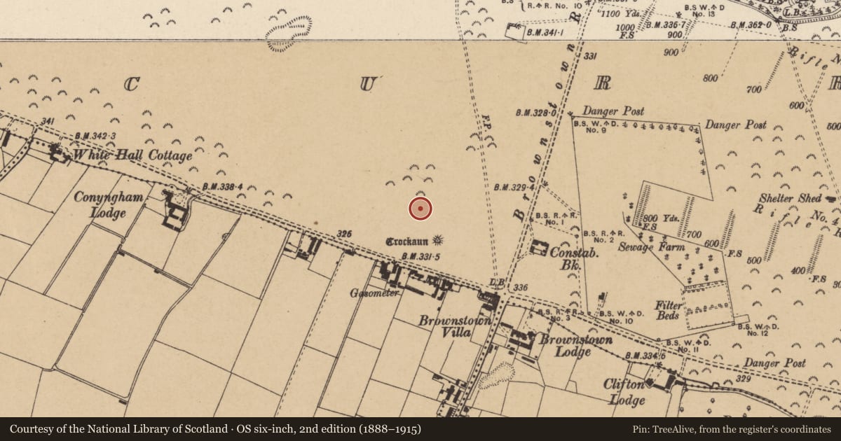 Ordnance Survey six-inch map, 2nd edition (1888–1915) covering the location of Mound, Curragh, County Kildare, with a pin at the register's coordinates