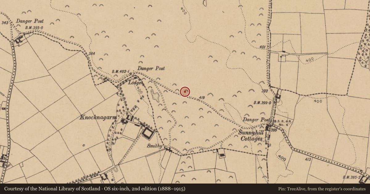 Ordnance Survey six-inch map, 2nd edition (1888–1915) covering the location of Ring-ditch, Curragh, County Kildare, with a pin at the register's coordinates