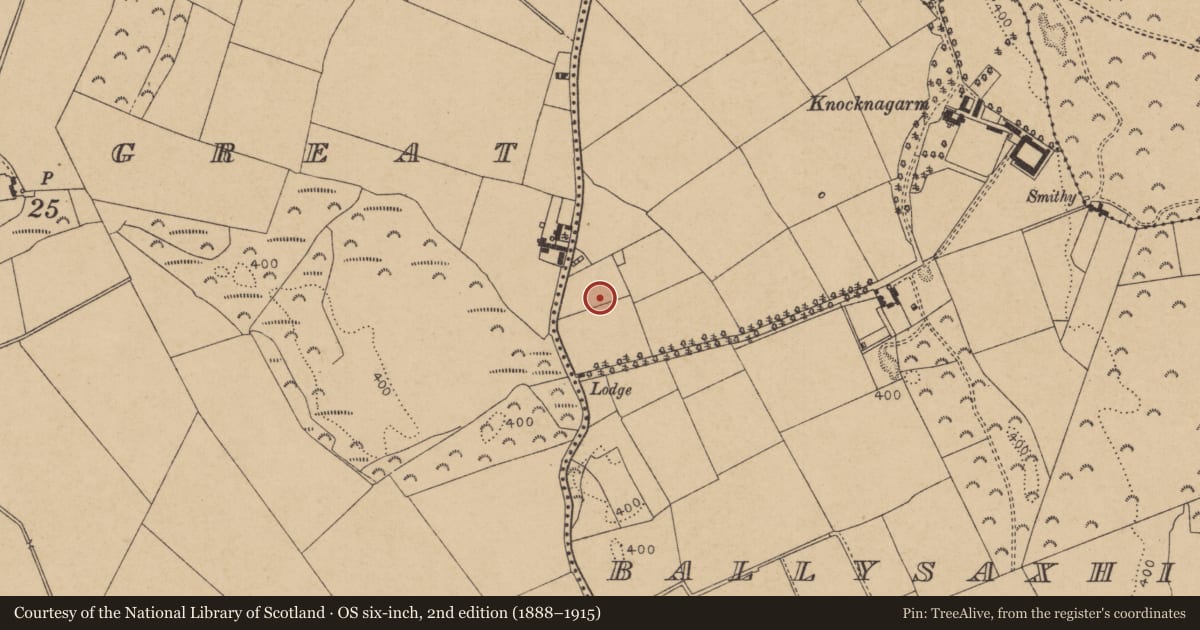 Ordnance Survey six-inch map, 2nd edition (1888–1915) covering the location of Burial, Ballysaxhills, County Kildare, with a pin at the register's coordinates
