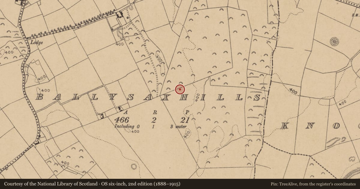 Ordnance Survey six-inch map, 2nd edition (1888–1915) covering the location of Habitation site, Ballysaxhills, County Kildare, with a pin at the register's coordinates