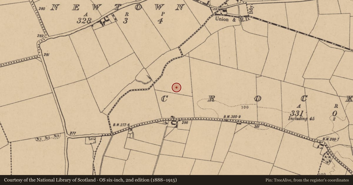 Ordnance Survey six-inch map, 2nd edition (1888–1915) covering the location of Enclosure, Crockaun, County Kildare, with a pin at the register's coordinates