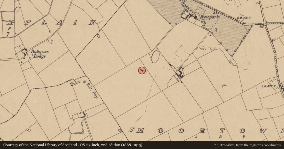 Ordnance Survey six-inch map, 2nd edition (1888–1915) covering the location of Enclosure, Moortown, County Kildare, with a pin at the register's coordinates