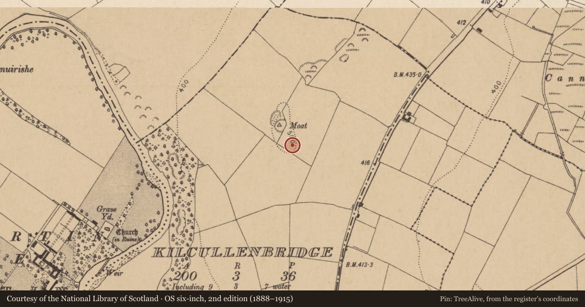 Ordnance Survey six-inch map, 2nd edition (1888–1915) covering the location of Enclosure, Kilcullenbridge, County Kildare, with a pin at the register's coordinates