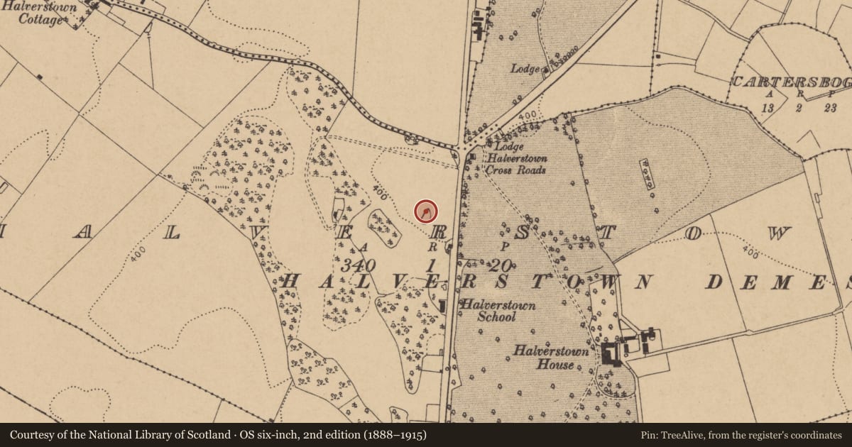 Ordnance Survey six-inch map, 2nd edition (1888–1915) covering the location of Enclosure, Halverstown, County Kildare, with a pin at the register's coordinates