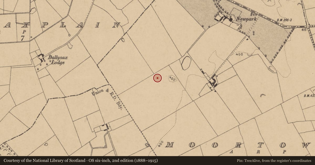 Ordnance Survey six-inch map, 2nd edition (1888–1915) covering the location of Enclosure, Moortown, County Kildare, with a pin at the register's coordinates