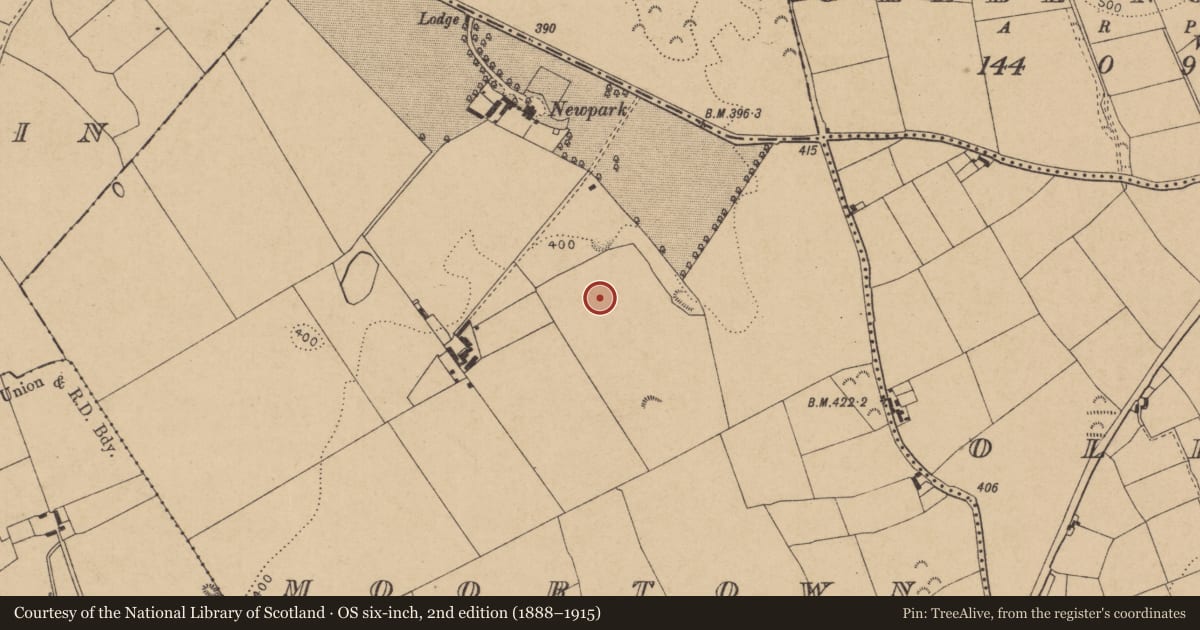 Ordnance Survey six-inch map, 2nd edition (1888–1915) covering the location of Enclosure, Moortown, County Kildare, with a pin at the register's coordinates