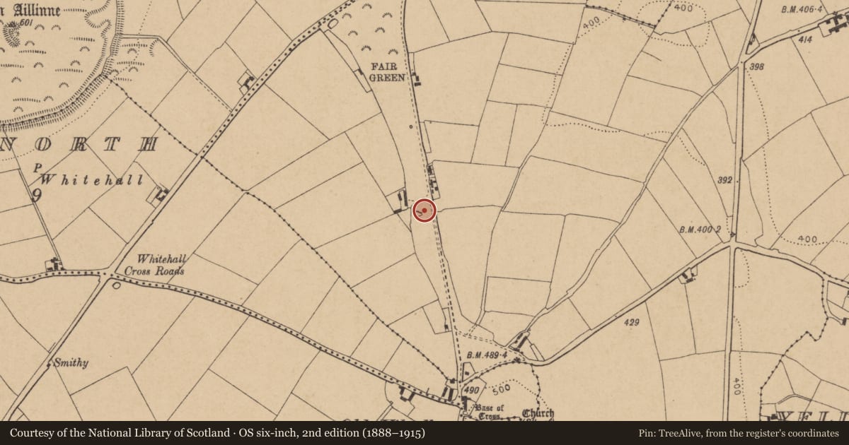 Ordnance Survey six-inch map, 2nd edition (1888–1915) covering the location of Enclosure, Oldkilcullen, County Kildare, with a pin at the register's coordinates