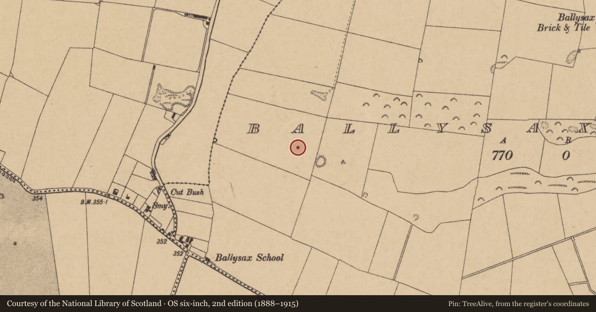 Ordnance Survey six-inch map, 2nd edition (1888–1915) covering the location of Moated site, Ballysax Great, County Kildare, with a pin at the register's coordinates