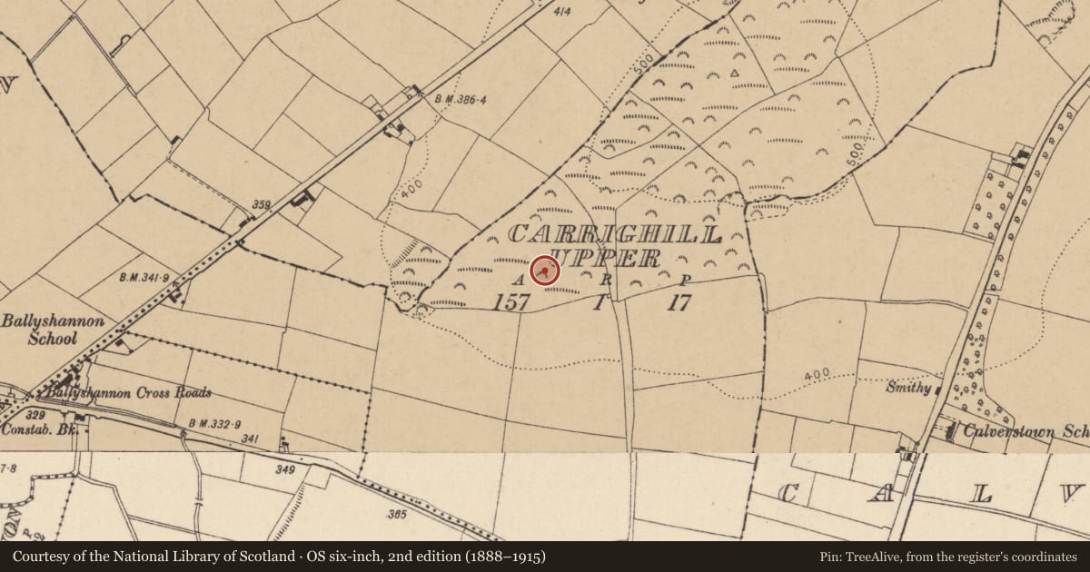 Ordnance Survey six-inch map, 2nd edition (1888–1915) covering the location of Ring-ditch, Carrighill Upper, County Kildare, with a pin at the register's coordinates