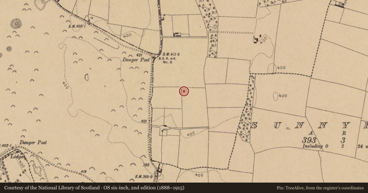 Ordnance Survey six-inch map, 2nd edition (1888–1915) covering the location of Ring-ditch, Kineagh, County Kildare, with a pin at the register's coordinates