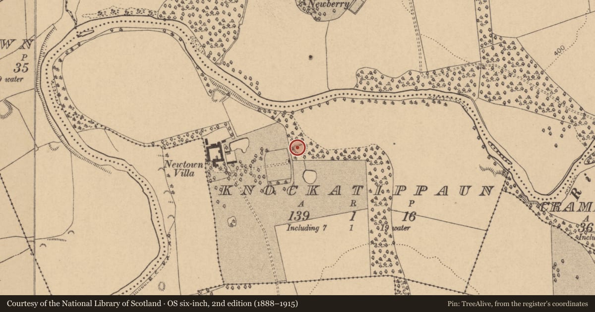 Ordnance Survey six-inch map, 2nd edition (1888–1915) covering the location of Ringfort - rath, Knockatippaun, County Kildare, with a pin at the register's coordinates