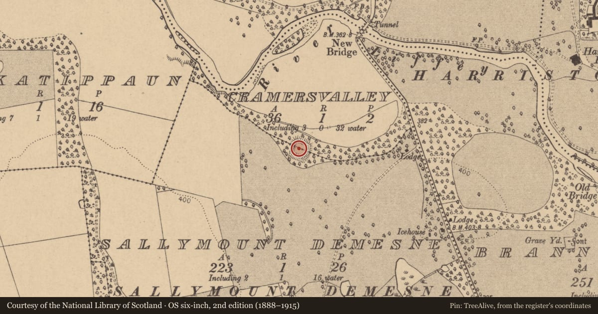 Ordnance Survey six-inch map, 2nd edition (1888–1915) covering the location of Moated site, Cramersvalley, Sallymount Demesne, County Kildare, with a pin at the register's coordinates