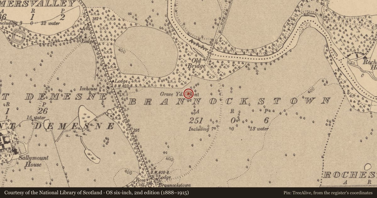 Ordnance Survey six-inch map, 2nd edition (1888–1915) covering the location of Church, Brannockstown, County Kildare, with a pin at the register's coordinates