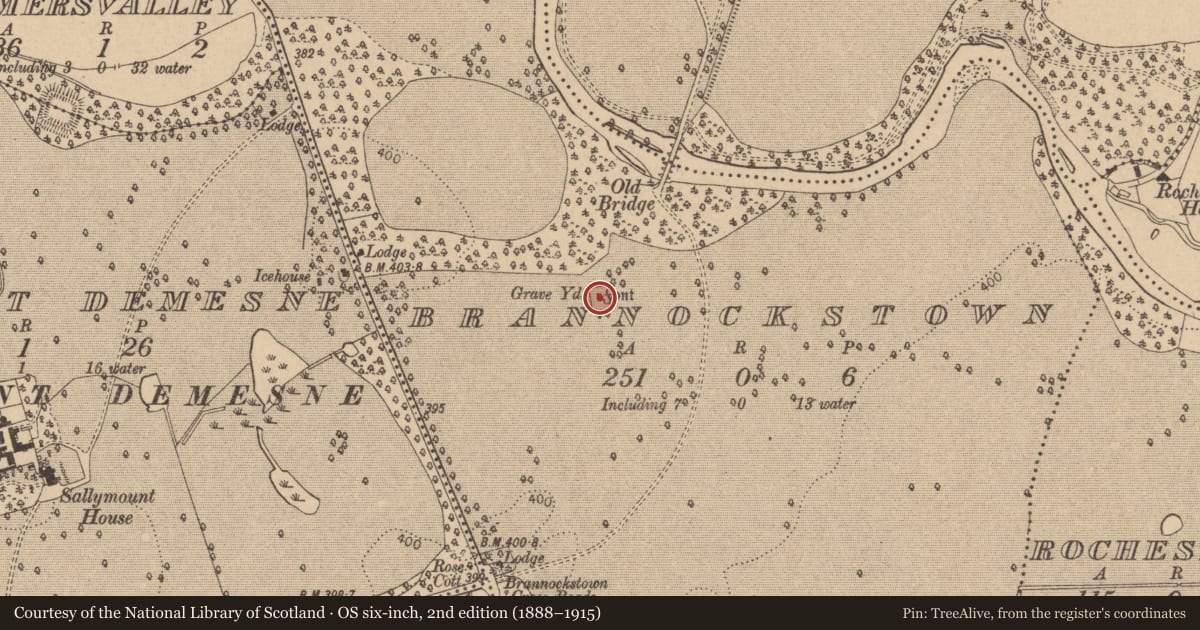Ordnance Survey six-inch map, 2nd edition (1888–1915) covering the location of Graveyard, Brannockstown, County Kildare, with a pin at the register's coordinates