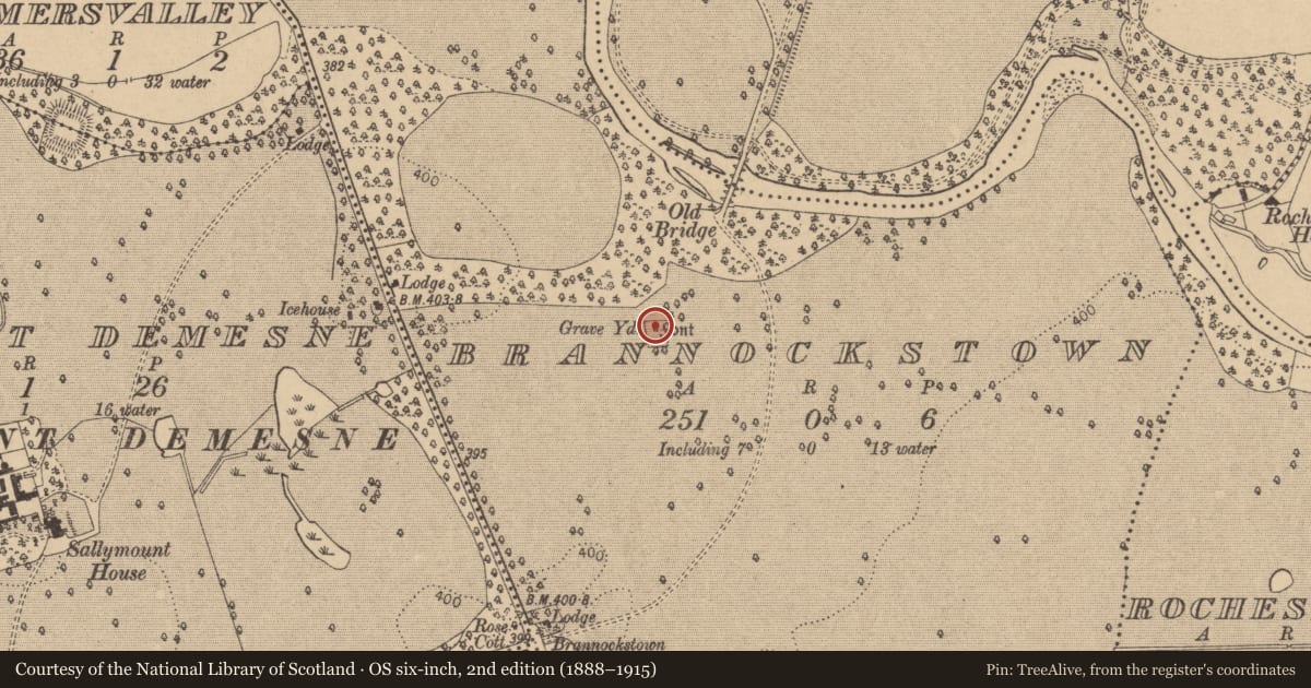 Ordnance Survey six-inch map, 2nd edition (1888–1915) covering the location of Font, Brannockstown, County Kildare, with a pin at the register's coordinates