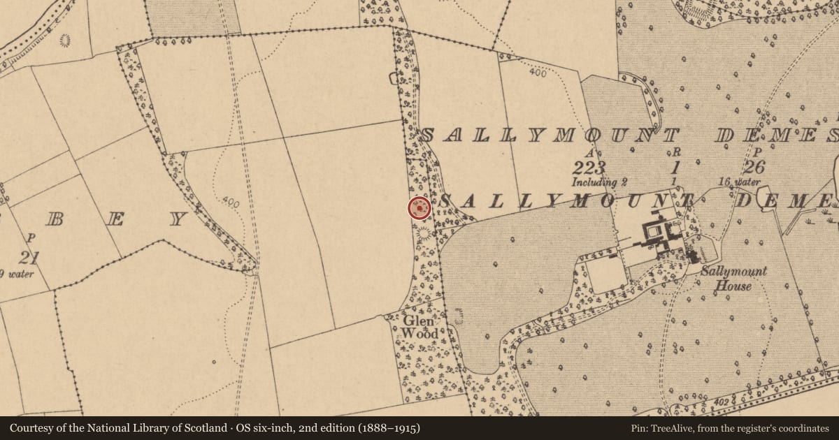 Ordnance Survey six-inch map, 2nd edition (1888–1915) covering the location of Barrow - stepped barrow, Grangemore, County Kildare, with a pin at the register's coordinates