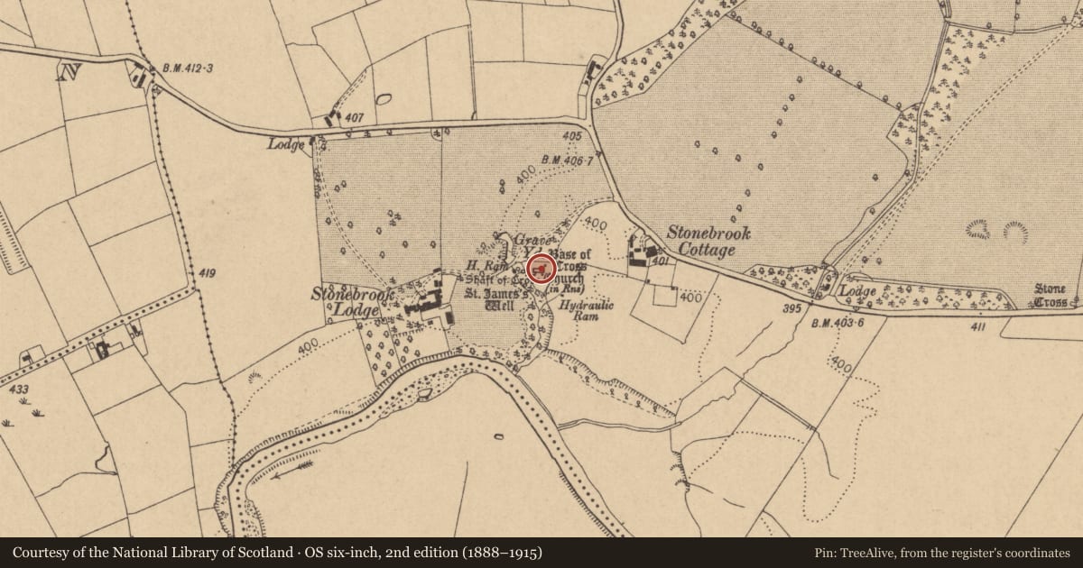 Ordnance Survey six-inch map, 2nd edition (1888–1915) covering the location of Church, Coghlanstown West, County Kildare, with a pin at the register's coordinates