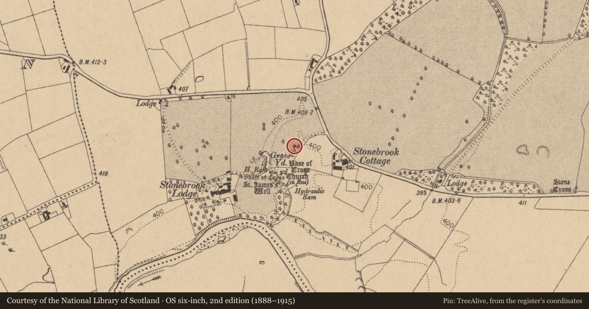 Ordnance Survey six-inch map, 2nd edition (1888–1915) covering the location of Ecclesiastical enclosure, Coghlanstown West, County Kildare, with a pin at the register's coordinates