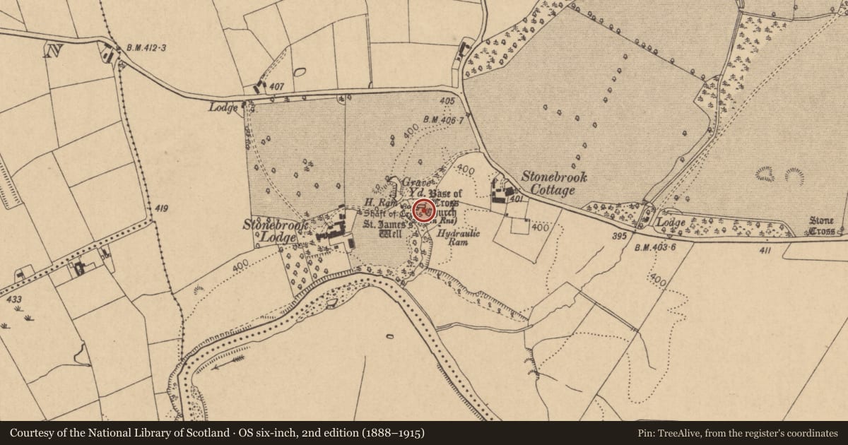 Ordnance Survey six-inch map, 2nd edition (1888–1915) covering the location of Graveyard, Coghlanstown West, County Kildare, with a pin at the register's coordinates